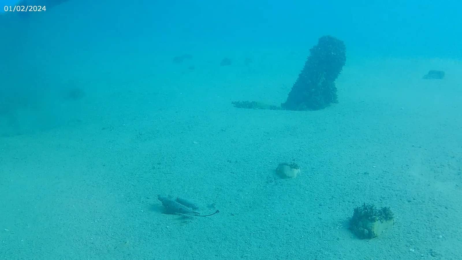 Underwater photo of waste on the floor of Lake Ohrid — the reason for the cleanup action