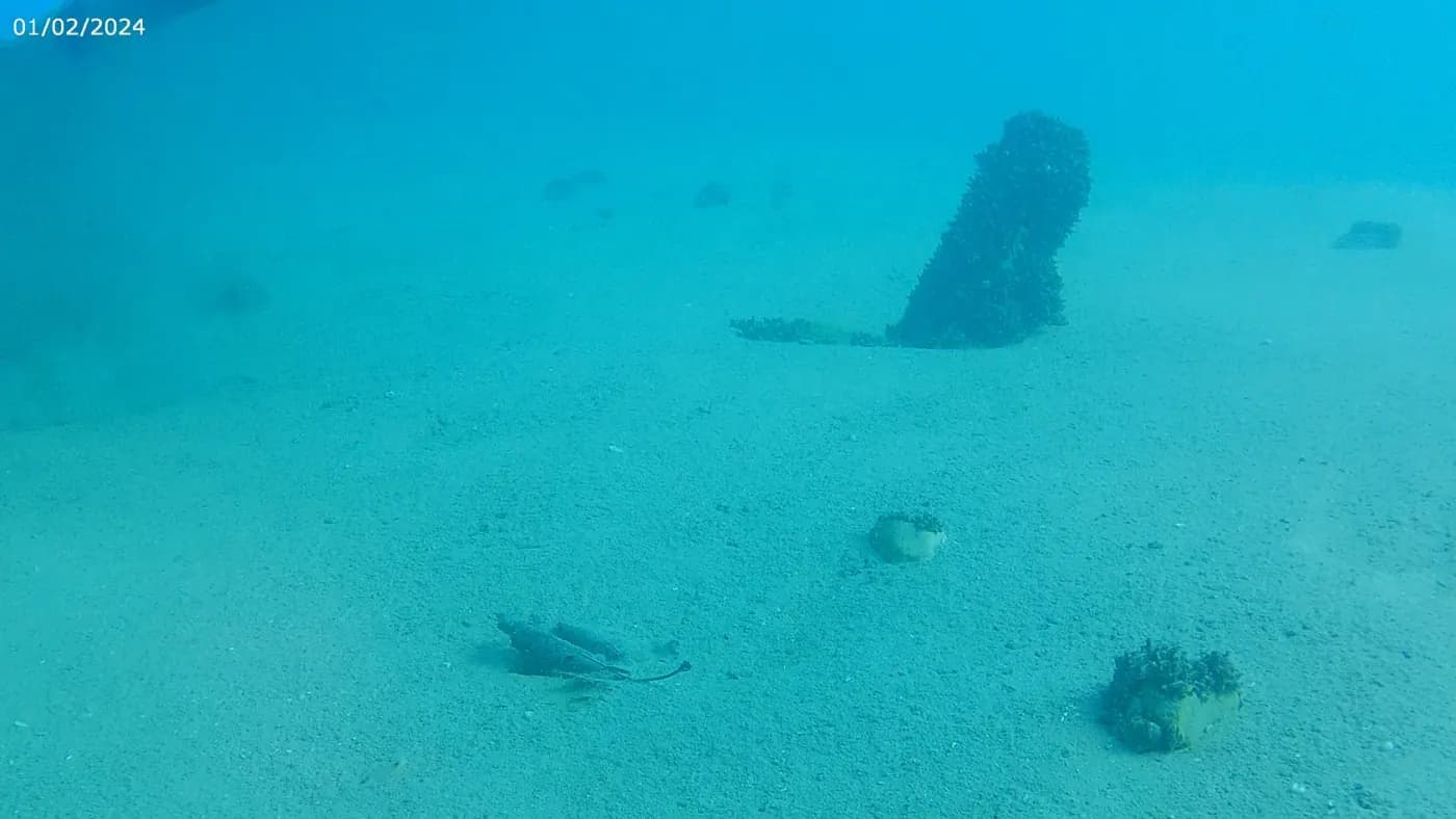 Underwater scene at Lake Ohrid showing the sandy floor and submerged features